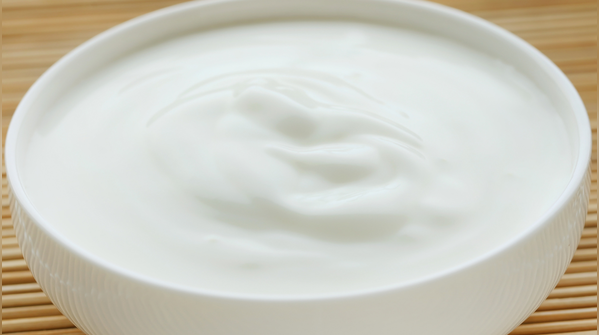 Curd or yogurt for gut balance