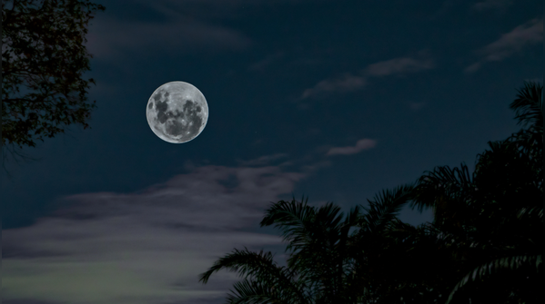 10 powerful things to do after the first full moon for a great start to 2026