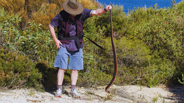 Australia
