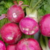 Turnip (shalgam)