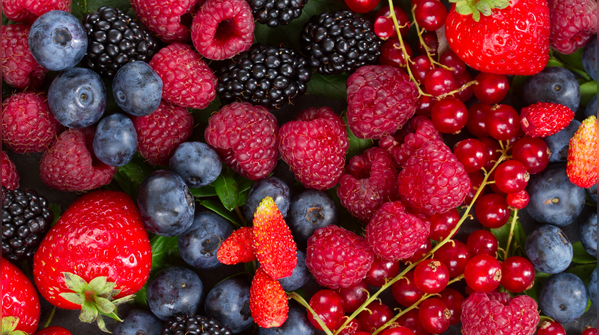 Berries
