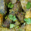 Undhiyo