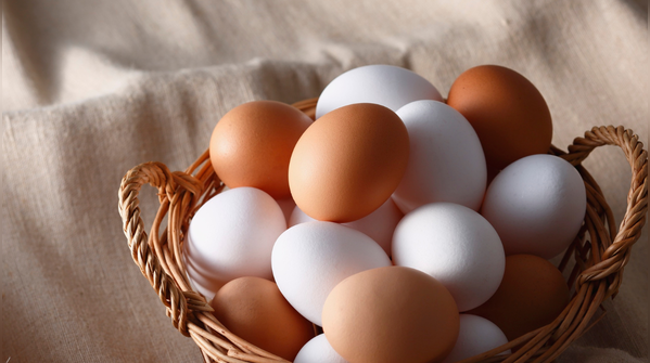 Eggs