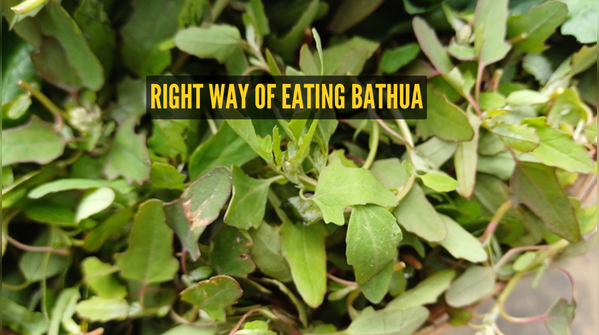 What happen when you eat bathua regularly in winters