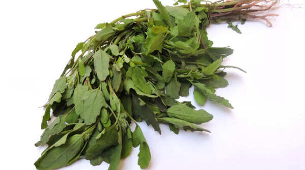 Benefits of bathua leaves