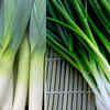 Article image for: Leek vs green onion: Key differences every home cook should know
