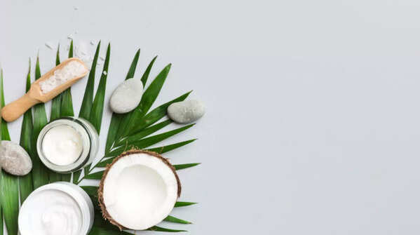 Coconut Leaf