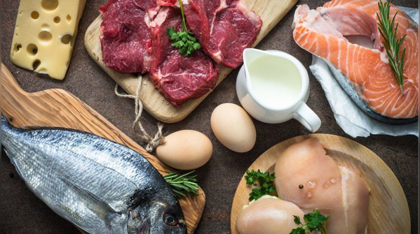 Proteins and fatty fish