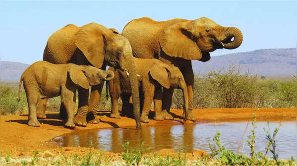 South Africa
