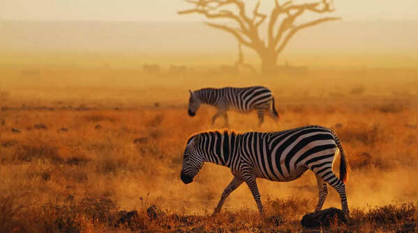 Kenya