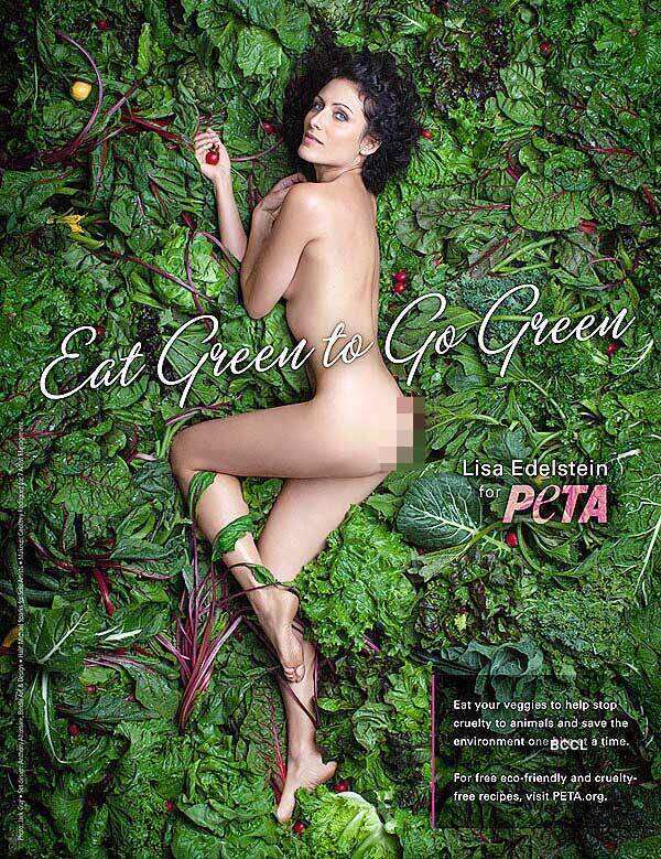 Lisa Edelstein Photos