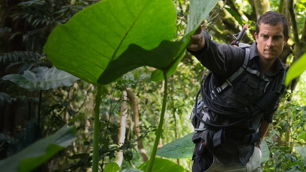 Bear Grylls Wallpapers