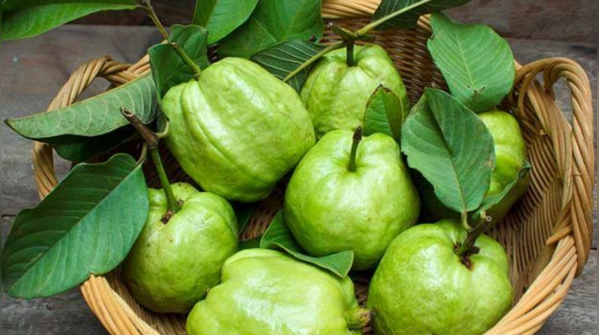 Guava