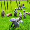 Agrarian distress and rural issues
