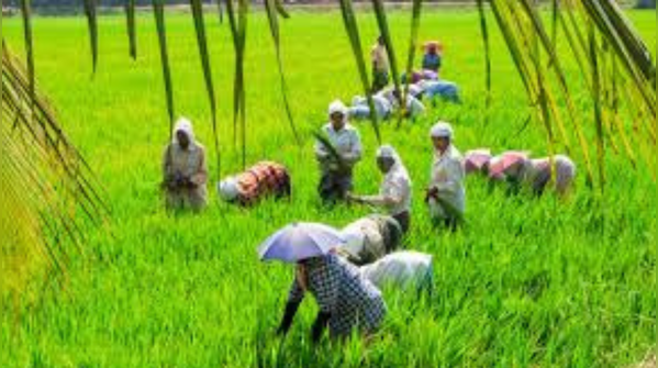 Agrarian distress and rural issues