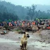 Environmental and disaster response issues 