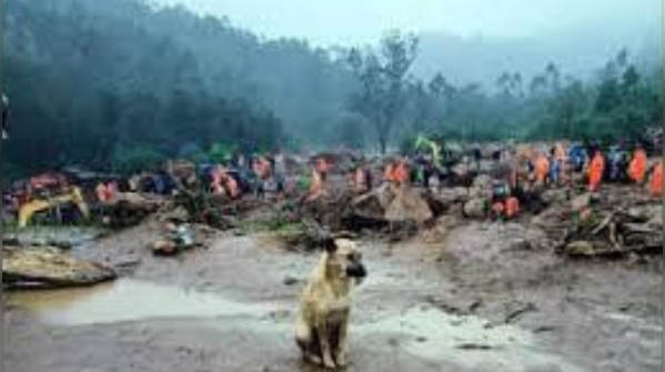 Environmental and disaster response issues