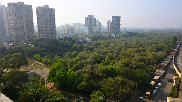 Infrastructure needs and future planning