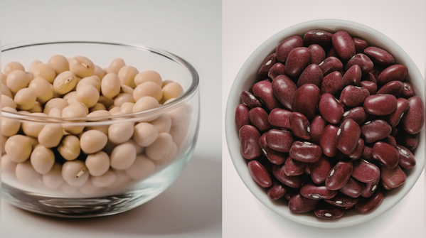 Chickpeas and kidney beans (chole, rajma and their cousins)