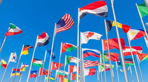 What do Vexillologists actually study?