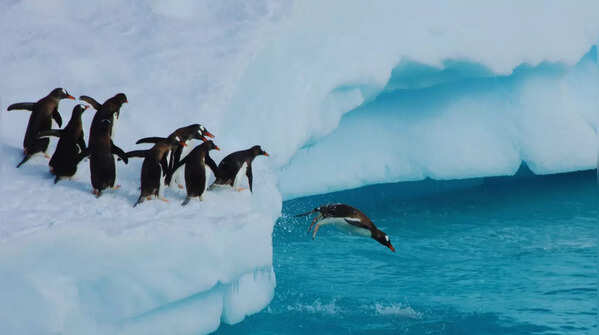 Antarctica