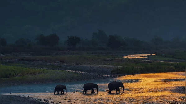Famous spot on the Ramganga reservoir