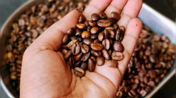 Monsoon Coffee (India)
