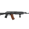 insas-1b1