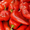Piperiá Florínis (Florina peppers)