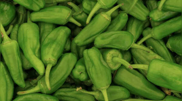 Pementos de Padrón