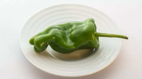 Pimiento de Gernika