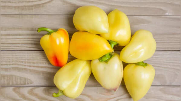 Sivria Pepper