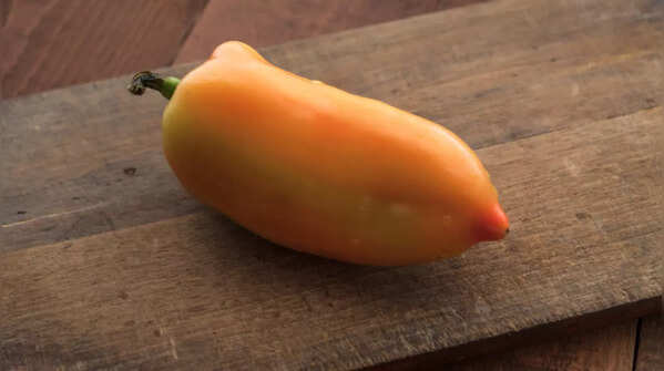 Pemento da Arnoia