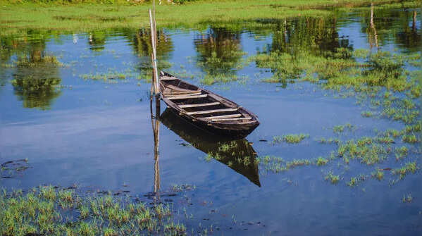 Chilika Lake, Odisha