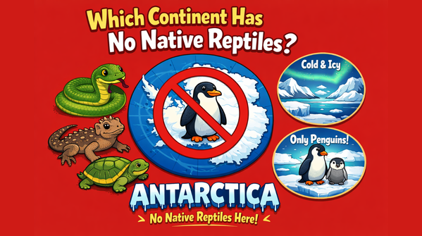 The answer is Antarctica