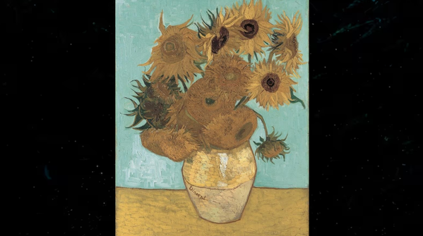 Sunflowers: Devotion, friendship, and optimism