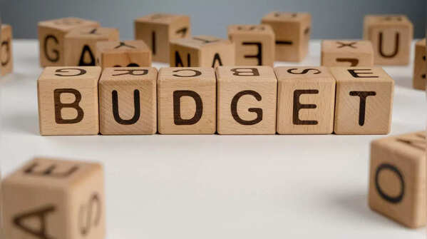 What Each Zodiac Sign Secretly Wants From the Union Budget 2026