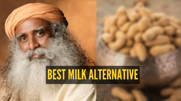 The right way to consume groundnuts