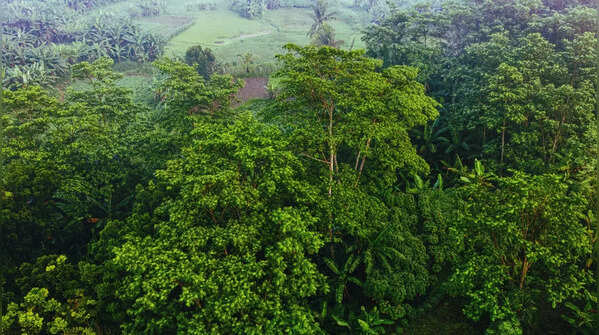 Indonesia