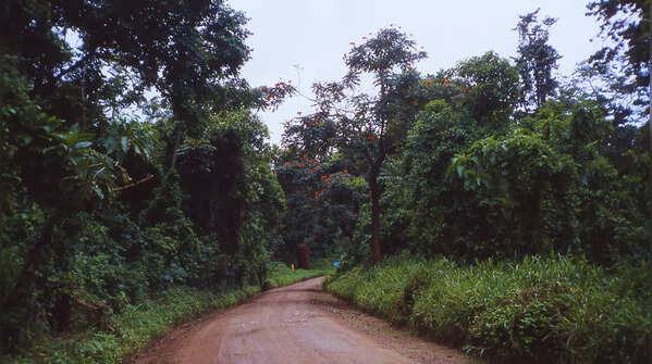 Democratic Republic of the Congo