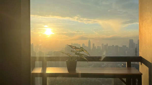 Provide adequate sunlight
