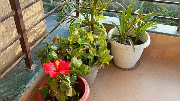 Add positive greenery