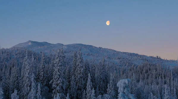 Snow Moon 2026: Full Moon Do's and Don'ts For Each Zodiac Sign