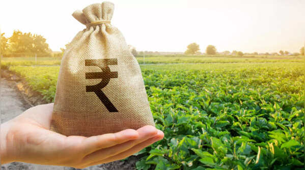 Focus on high-value crops