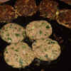 Step 6