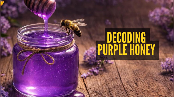 Understanding the purple hue of honey