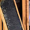 Types of honey