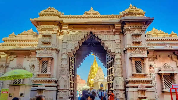 Kashi Pictures