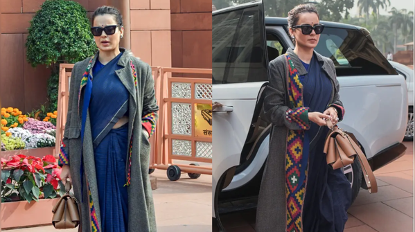 Plain silk saree with luxury fall notes