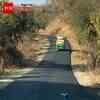 Article image for: Peacock Stops Traffic In Gir, Lets Deers Cross The Road